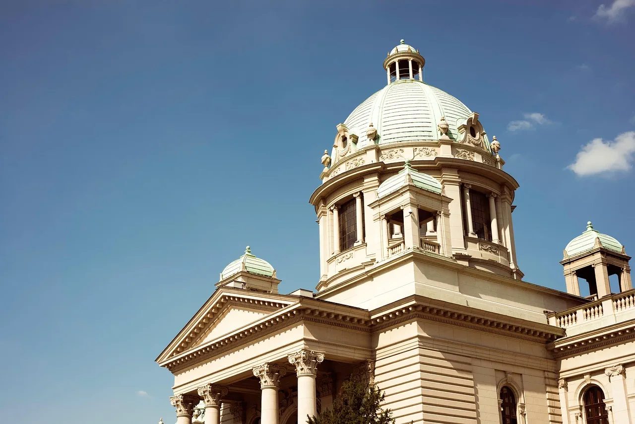 Naime, Bakina stranka ima nedvosmislenu podršku vladajuće stranke, SNS-a, i u neku ruku je njegova stranka novi SNS projekat osmišljen sa ciljem širenja demokratije kao i omogućavanja lakšeg ulaza mladima u svet politike.